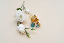 Load image into Gallery viewer, Discovery Sample Set